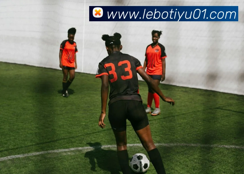 乐博体育平台生态图