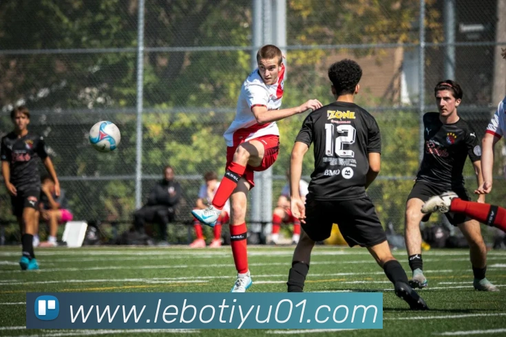 乐博体育APP 封面图